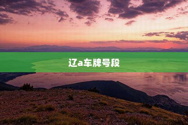 辽a车牌号段