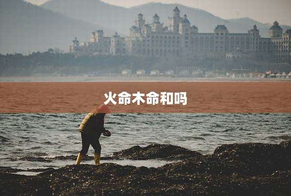 火命木命和吗