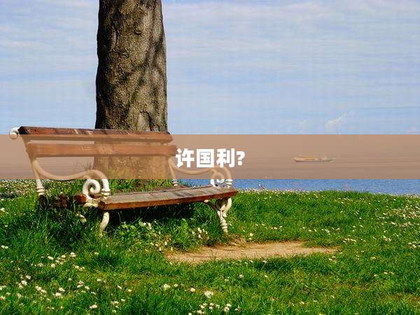 许国利?