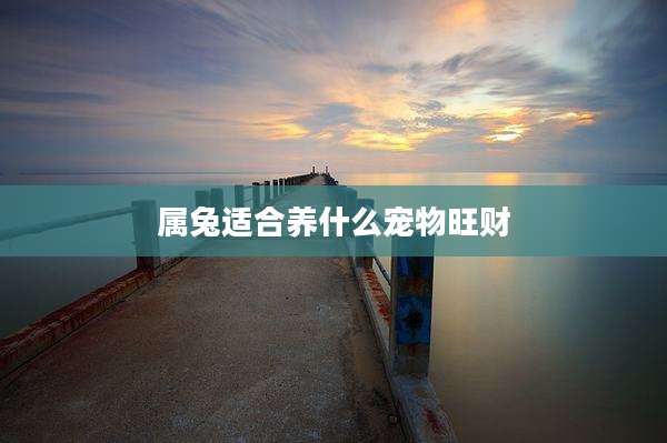 属兔适合养什么宠物旺财