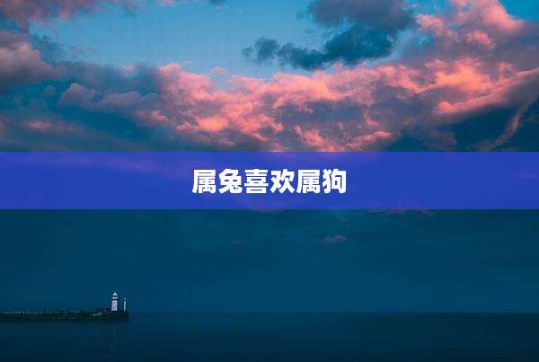 属兔喜欢属狗