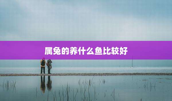 属兔的养什么鱼比较好
