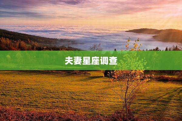 夫妻星座调查