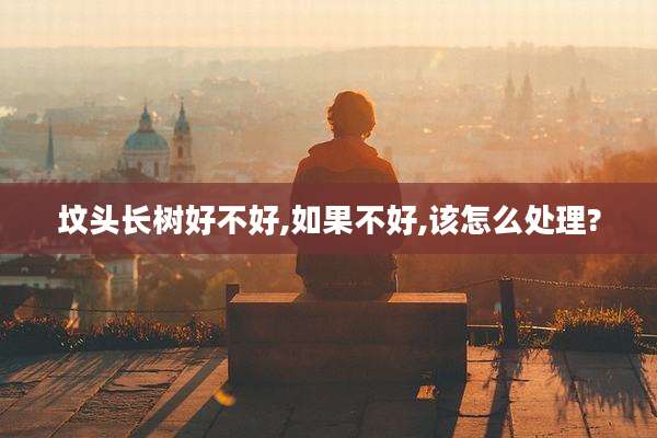 坟头长树好不好,如果不好,该怎么处理?