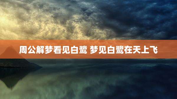周公解梦看见白鹭 梦见白鹭在天上飞
