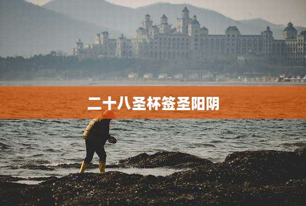 二十八圣杯签圣阳阴
