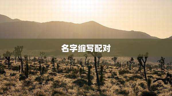 名字缩写配对