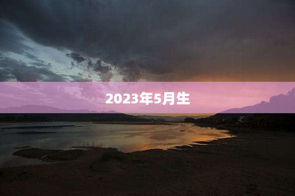 2023年5月生