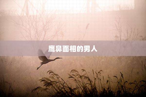 鹰鼻面相的男人