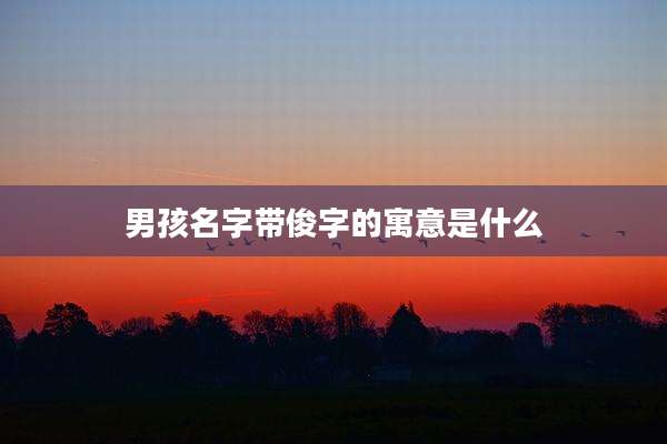 男孩名字带俊字的寓意是什么