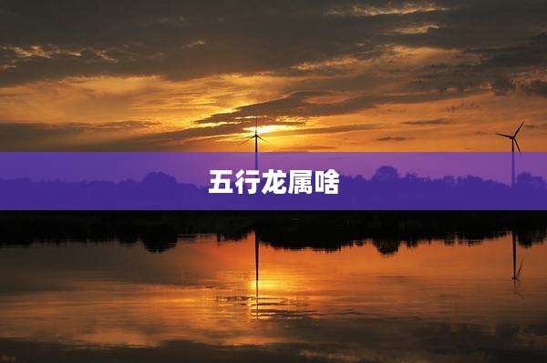 五行龙属啥