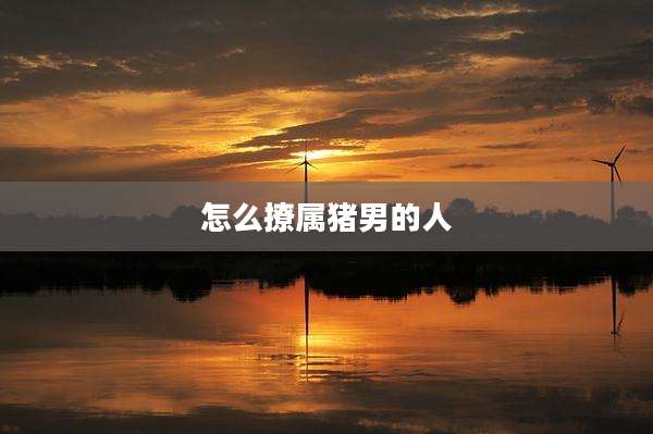怎么撩属猪男的人