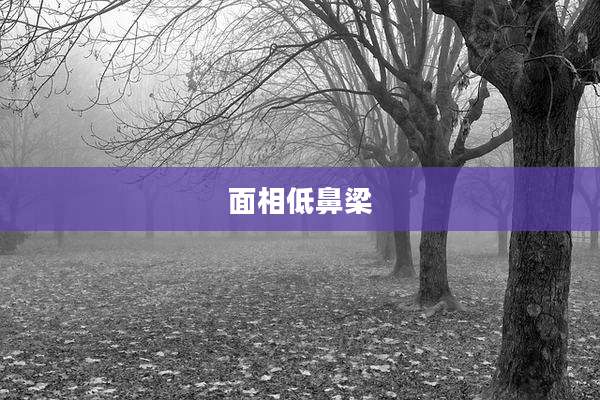 面相低鼻梁