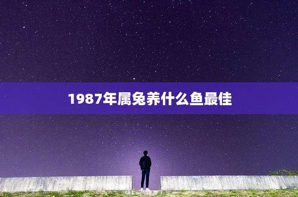 1987年属兔养什么鱼最佳