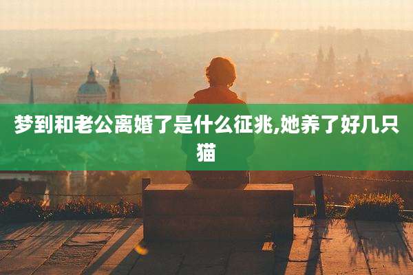 梦到和老公离婚了是什么征兆,她养了好几只猫