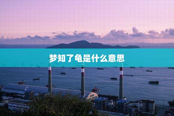 梦知了龟是什么意思