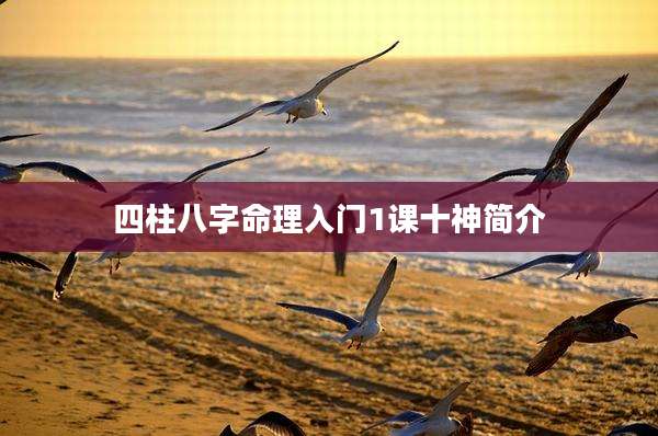 四柱八字命理入门1课十神简介