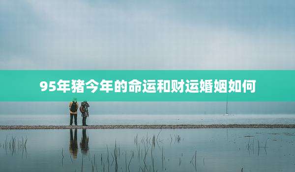 95年猪今年的命运和财运婚姻如何