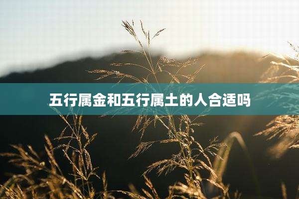 五行属金和五行属土的人合适吗