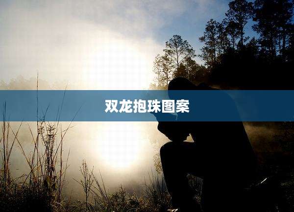 双龙抱珠图案