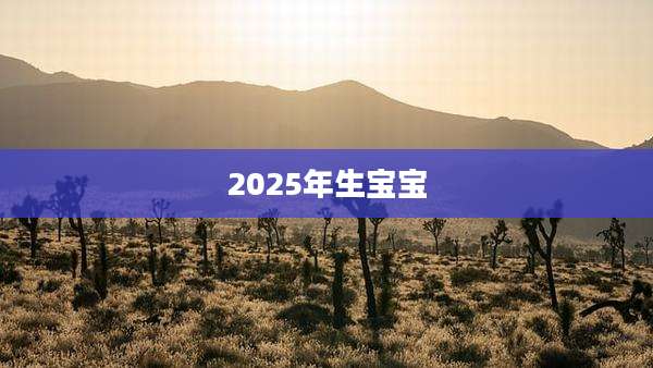 2025年生宝宝