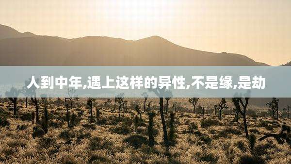 人到中年,遇上这样的异性,不是缘,是劫