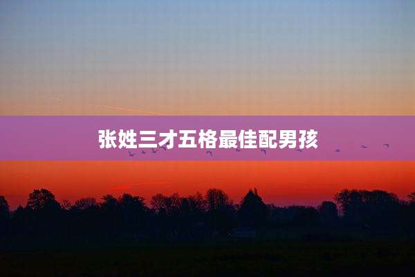 张姓三才五格最佳配男孩