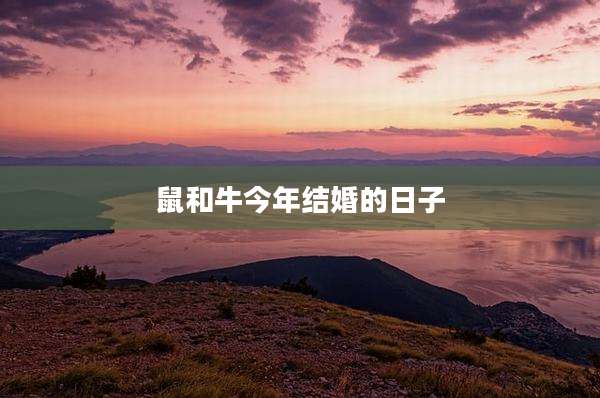 鼠和牛今年结婚的日子