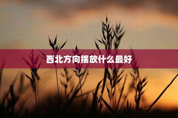 西北方向摆放什么最好