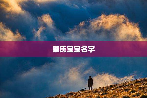 秦氏宝宝名字