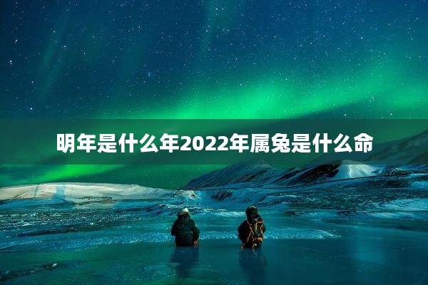 明年是什么年2022年属兔是什么命