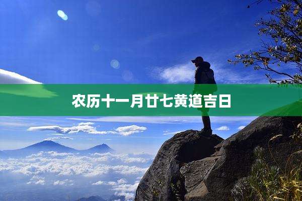 农历十一月廿七黄道吉日