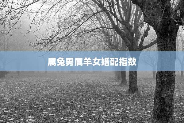 属兔男属羊女婚配指数
