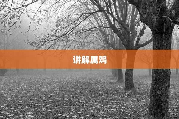 讲解属鸡