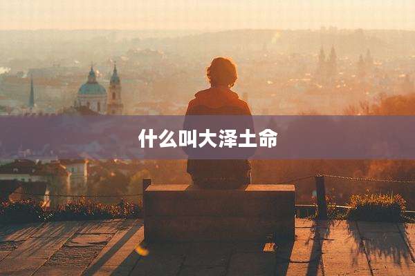 什么叫大泽土命