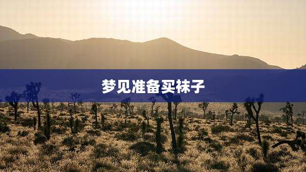 梦见准备买袜子