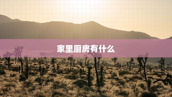 家里厨房有什么