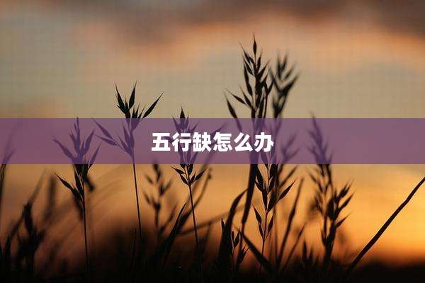 五行缺怎么办
