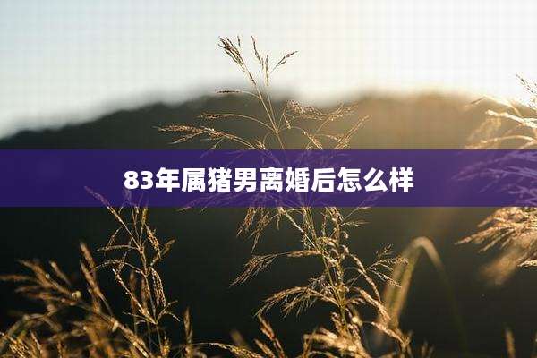 83年属猪男离婚后怎么样