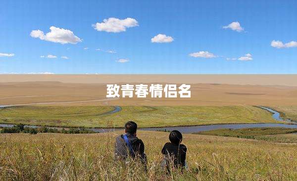 致青春情侣名