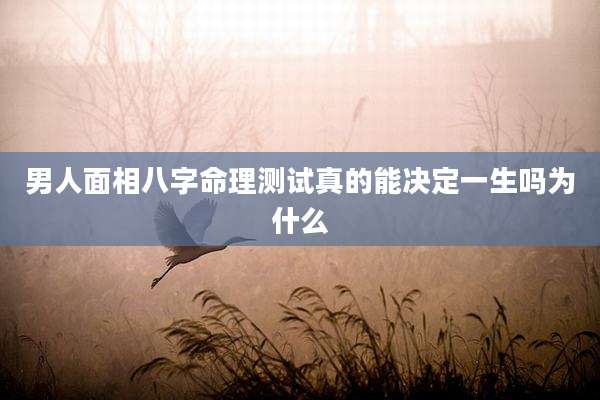 男人面相八字命理测试真的能决定一生吗为什么