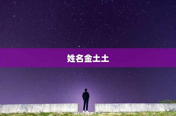 姓名金土土