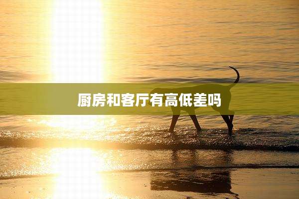 厨房和客厅有高低差吗