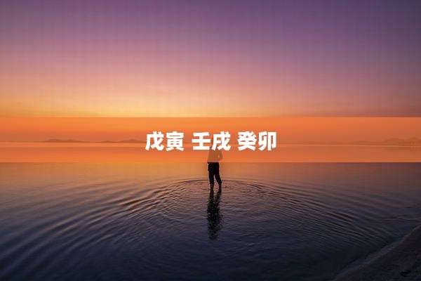 戊寅 壬戌 癸卯