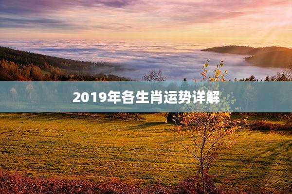 2019年各生肖运势详解