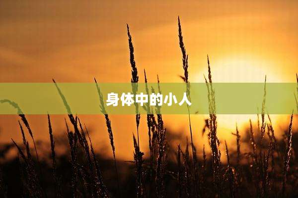身体中的小人