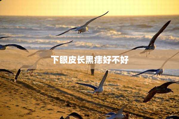 下眼皮长黑痣好不好