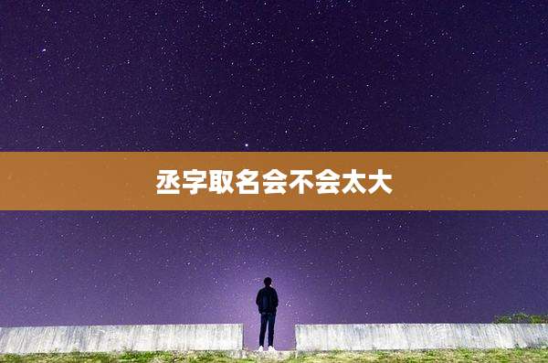 丞字取名会不会太大