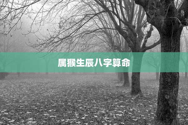 属猴生辰八字算命