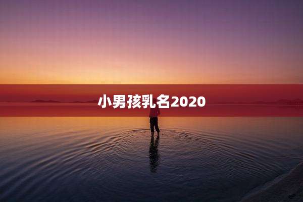 小男孩乳名2020